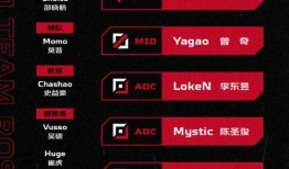 jdg最新爆料,揭秘战队备战新赛季的神秘计划